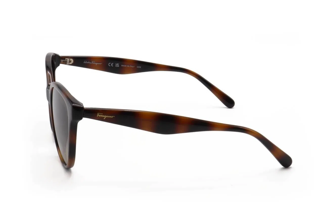 Ferragamo SF1073S Sunglasses - view 4